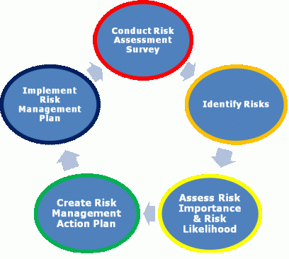 annual risk management survey process